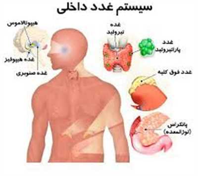 دکتر غدد در شیراز در وهله اول وظیفه دارد، اثرات هورمون هایی که بر روی موارد زیر ممکن است ایجاد شود، ارزیابی کند.
•	رشد 
•	خلق
•	هضم
•	خواب
•	قاعدگی
•	متابولیسم
•	تولید مثل
•	شیردهی 
و عملکرد دیگر ارگانها 

