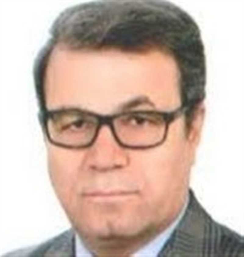 دکتر ابراهیم محمدی