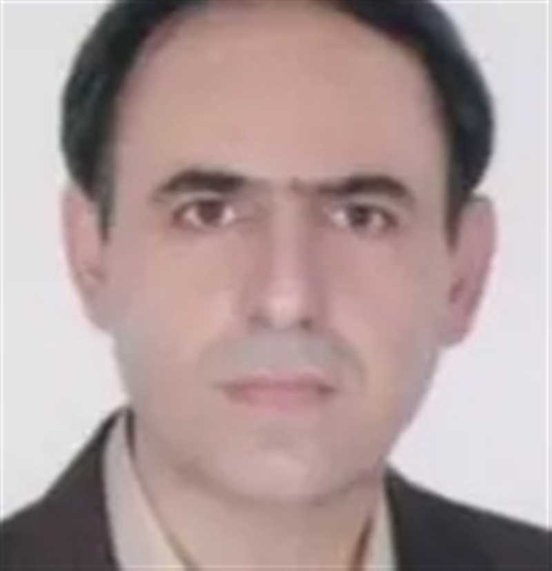 دکتر محمد تقی ولی زاد حسنلوئی