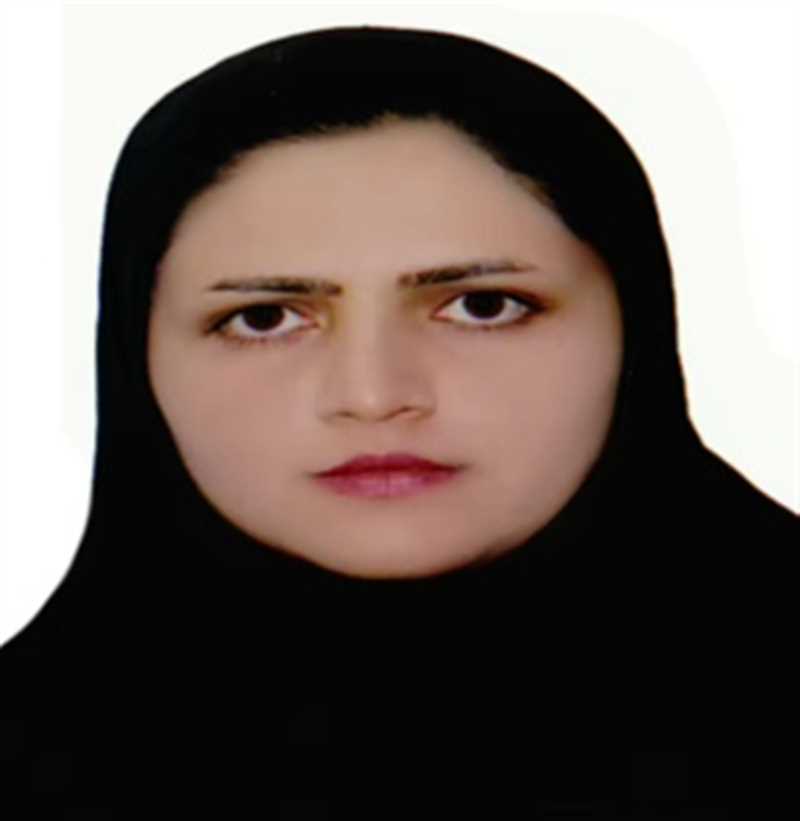 فهیمه سلیمی