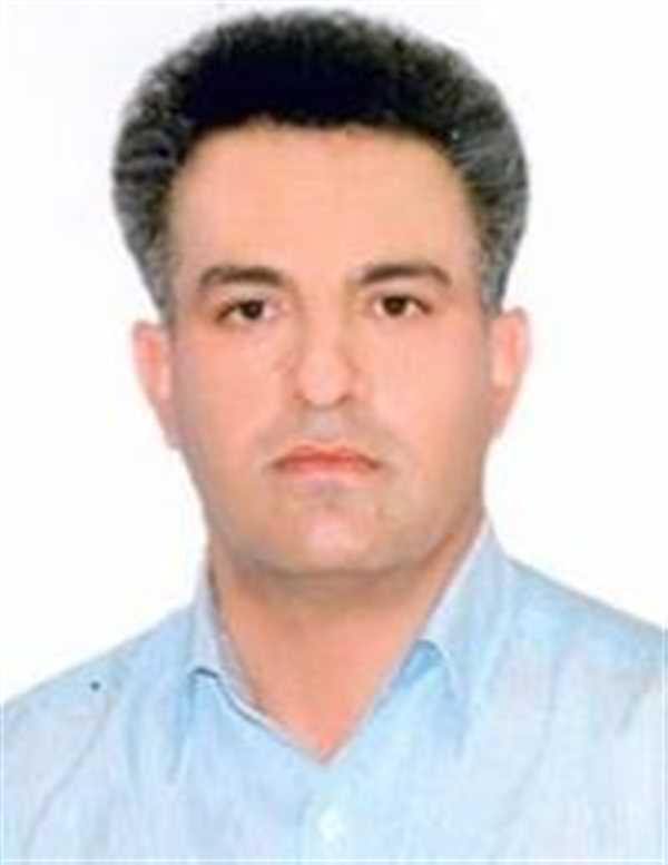 دکتر عبدالناصر نجفی