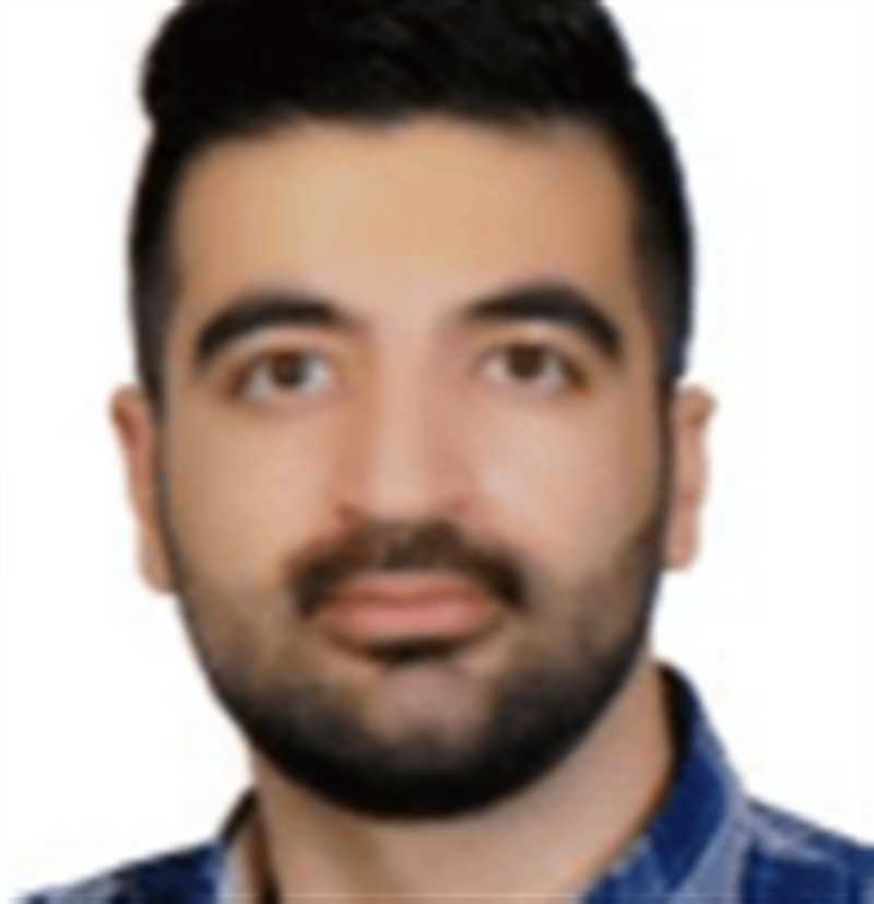 محسن ابراهیمی
