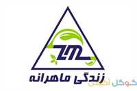 کلینیک زندگی ماهرانه
