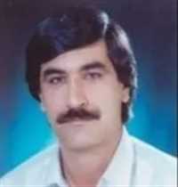 حاصل چوبینه