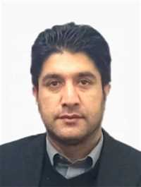 هادی شاهینی